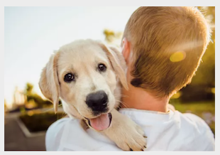 ��� ����� ���������� � ������ ������������ (��� � �������� ����� � �������� �����������)